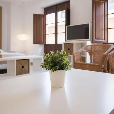 Santiago Premium Loft Ii Apartamento Málaga